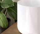 Totem Simple de table – Démonstrateur
