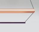 Tier P suspension