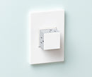 Prise Pop-Out 1-Gang 15A–20A