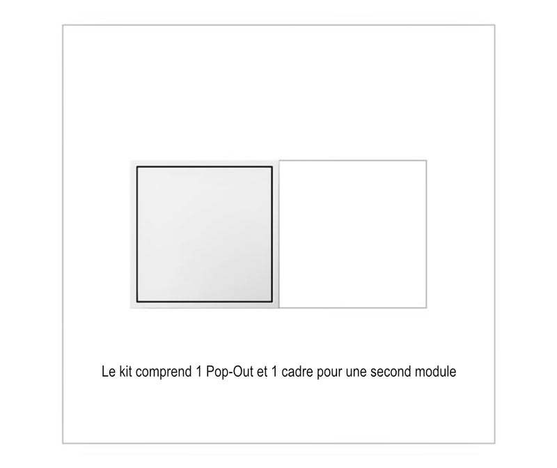 Prise Pop-Out 2-Gang 15A–20A