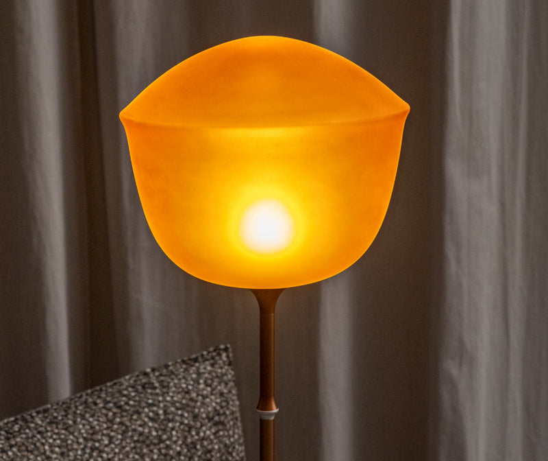 Contour F de sol