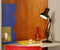 Type 75™ Mini de bureau – Éditions Paul Smith