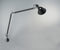 Tolomeo Classic murale