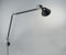 Tolomeo Classic murale