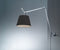 Tolomeo Mega murale