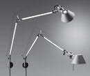 Tolomeo Mini murale