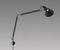 Tolomeo Mini murale