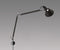 Tolomeo Mini murale – En stock