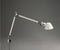 Tolomeo Mini murale