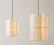 Hashira Trio suspension