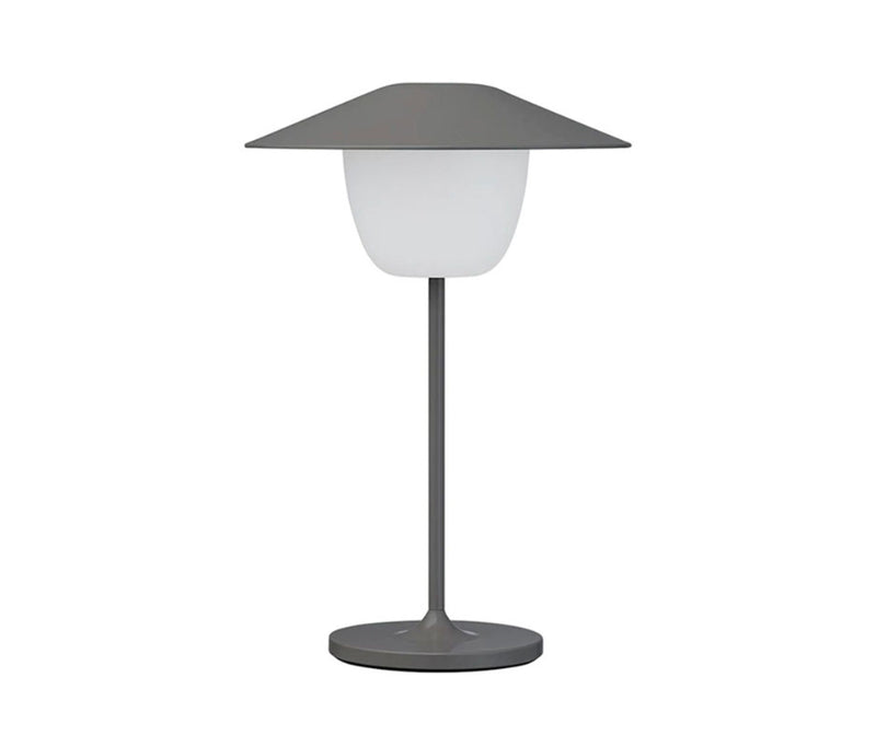 Ani de table portative 3 dans 1