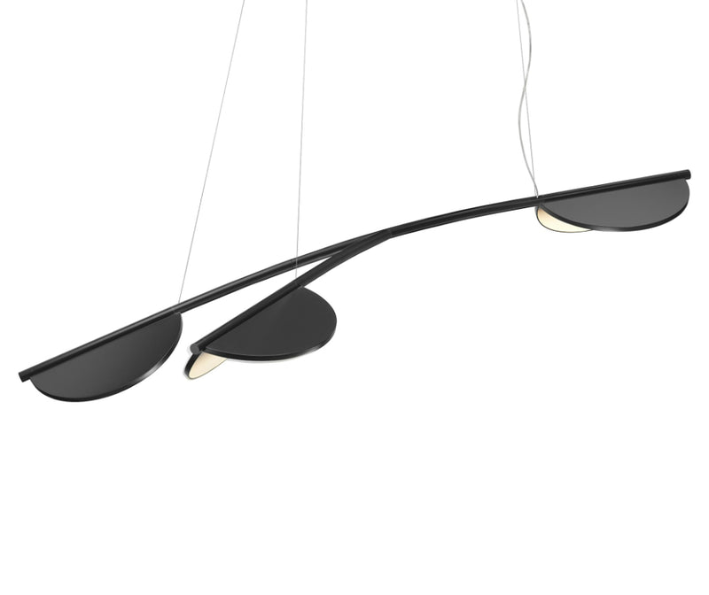Almendra Organic suspension
