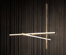 Coordinates S1 suspension