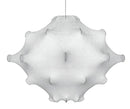 Taraxacum suspension