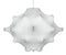 Taraxacum suspension