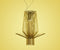 Allegretto Assai suspension