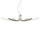 Asteria suspension