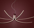 Asteria suspension