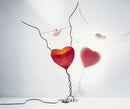One From The Heart de table