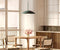 Regent suspension