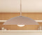 Regent suspension