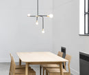 Beaubien suspension