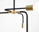 Beaubien suspension