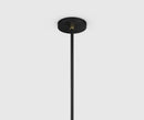 Beaubien suspension