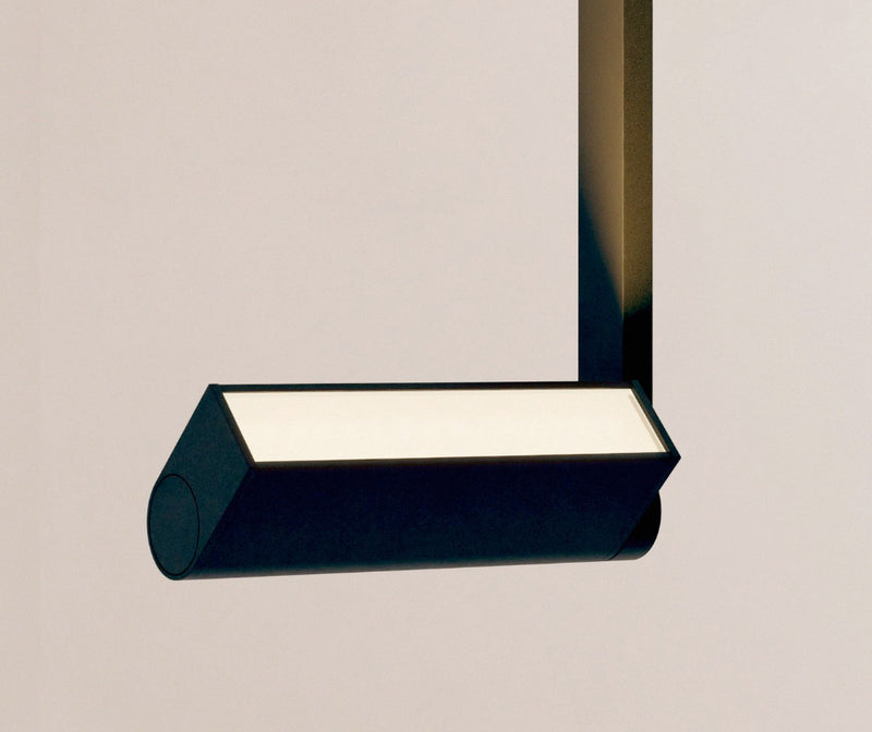 Ipoli 04 suspension
