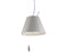 Costanzina suspension