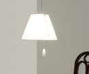 Costanzina suspension