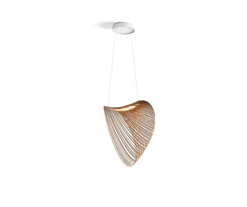 Illan suspension