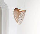 Illan suspension