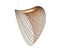 Illan suspension