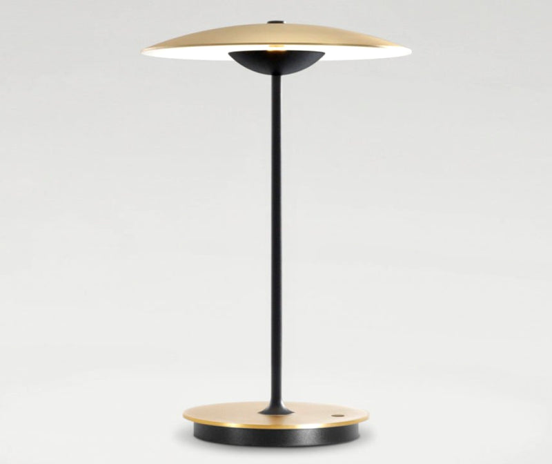 Ginger 20M portative de table