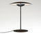 Ginger S-M de table
