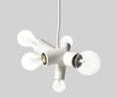 Cluster suspension