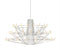 Coppelia suspension