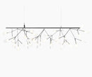 Heracleum III Endless suspension