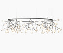 Heracleum III Big O suspension