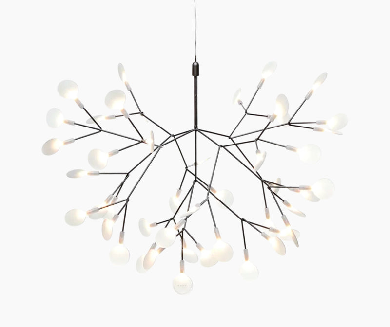 Heracleum III suspension
