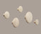 Dots Wood ensemble de 5 crochets
