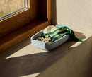 Restore Tray Panier de rangement 11x6po