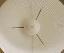 Nebra suspension