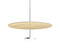 Sky Dome Bois suspension
