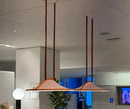 Pantaya suspension