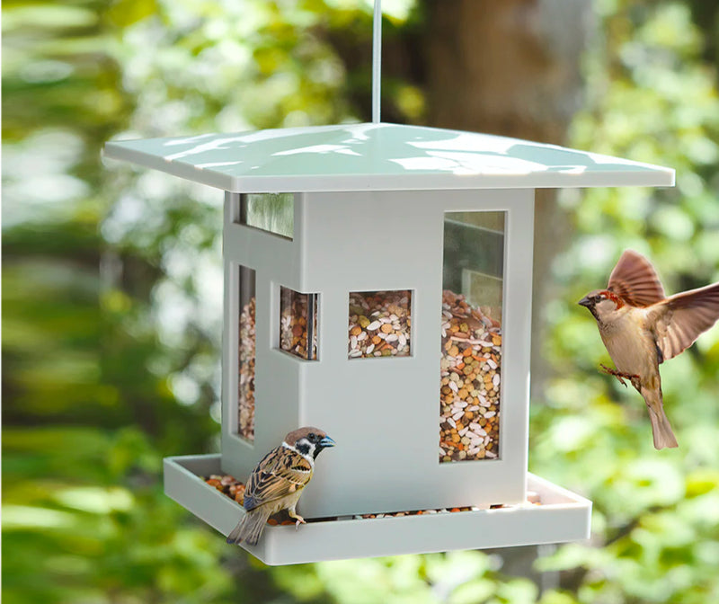 Mangeoire à oiseaux avec support pour oiseaux - Mangeoire à